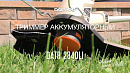 Триммер аккумуляторный DAEWOO DATR 2840Li_14